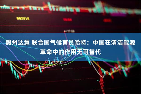 赣州达慧 联合国气候官员哈特：中国在清洁能源革命中的作用无可替代