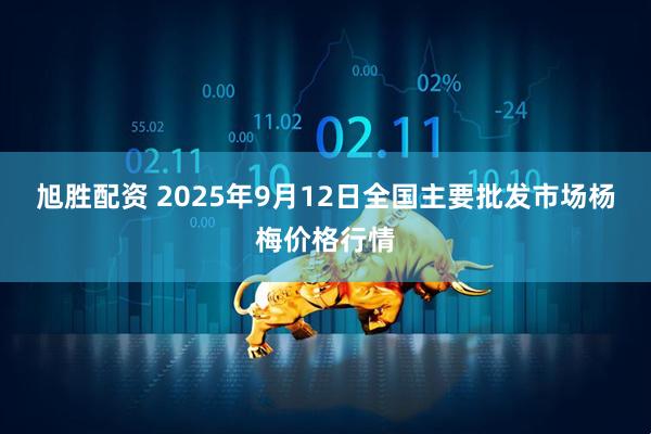 旭胜配资 2025年9月12日全国主要批发市场杨梅价格行情