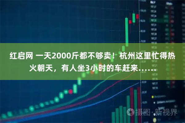 红启网 一天2000斤都不够卖！杭州这里忙得热火朝天，有人坐3小时的车赶来……