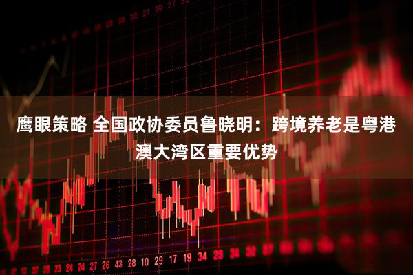 鹰眼策略 全国政协委员鲁晓明：跨境养老是粤港澳大湾区重要优势